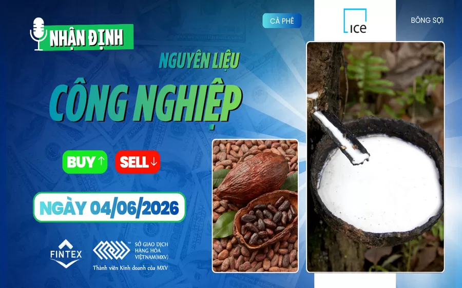 NHẬN ĐỊNH NGUYÊN LIỆU - CÔNG NGHIỆP NGÀY 04/06/2026